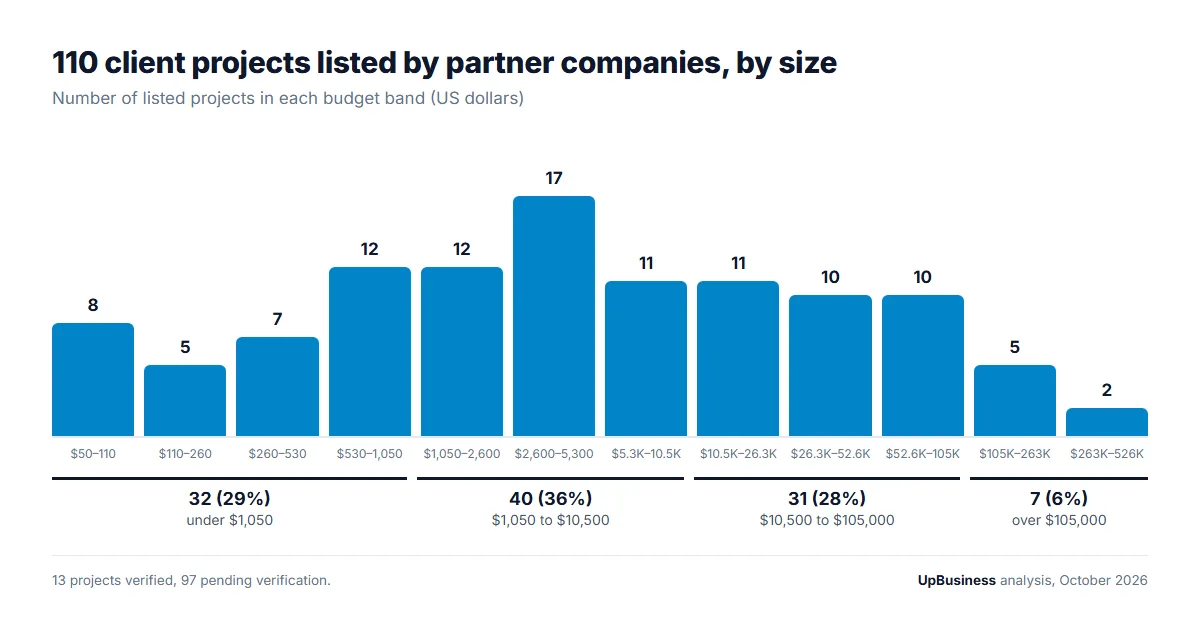 110 client projects listed by partner companies by size: 32 under $1,050 (29%), 40 from $1,050 to $10,500 (36%), 31 from $10,500 to $105,000 (28%), 7 over $105,000 (6%)