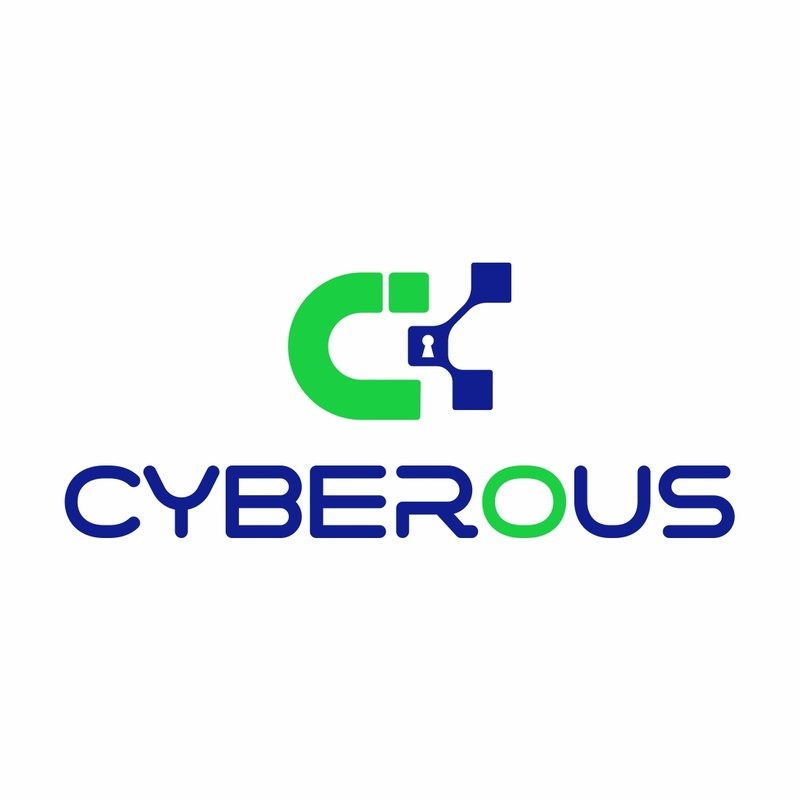 Cyberous Private Limited logo