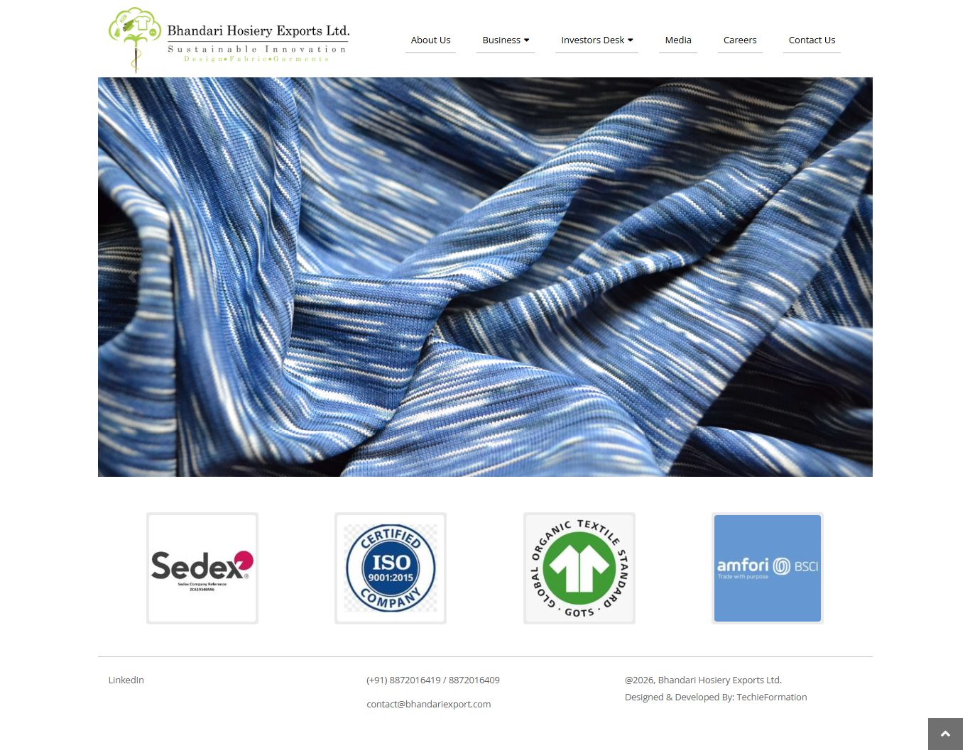 Business Website Development